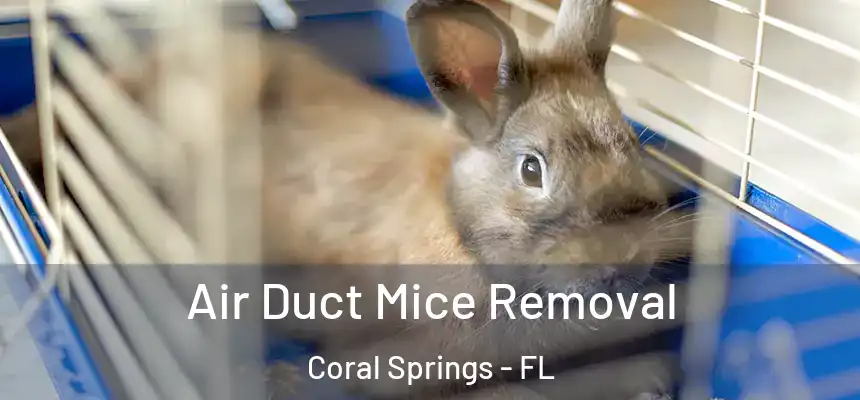  Air Duct Mice Removal Coral Springs - FL
