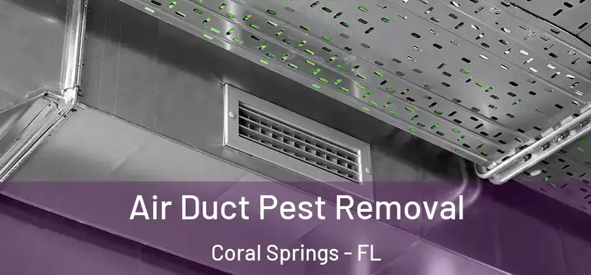 Air Duct Pest Removal Coral Springs - FL