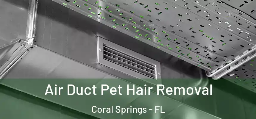 Air Duct Pet Hair Removal Coral Springs - FL