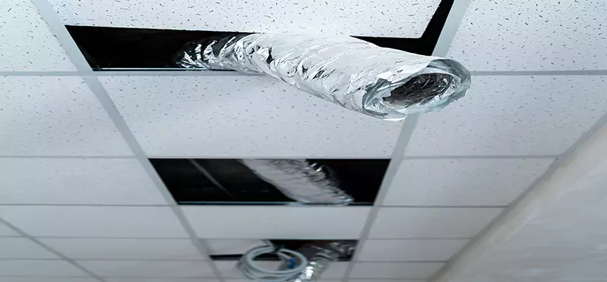 Our Air Duct Pet Hair Removal Services in Coral Springs, FL