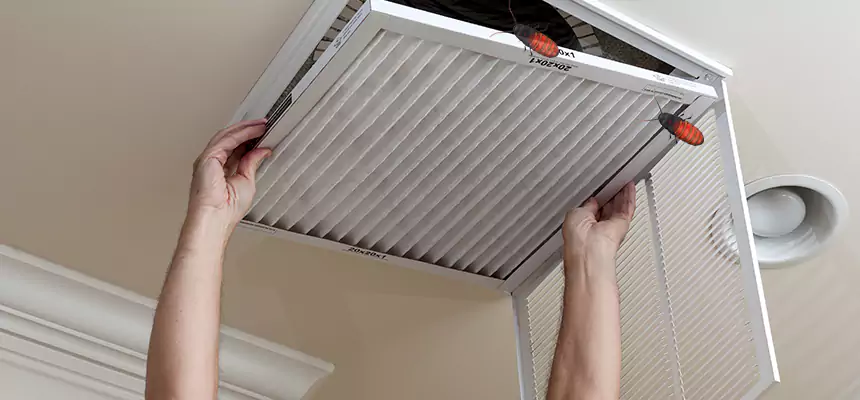 Our Insect Removal from Air Ducts Services in Coral Springs, FL