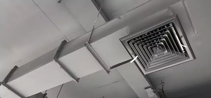 Our Rodent Droppings In Vents Services in Coral Springs, FL