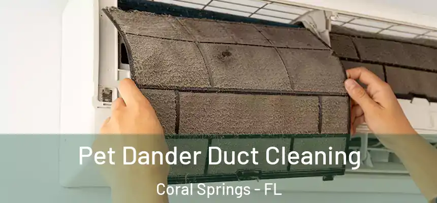 Pet Dander Duct Cleaning Coral Springs - FL