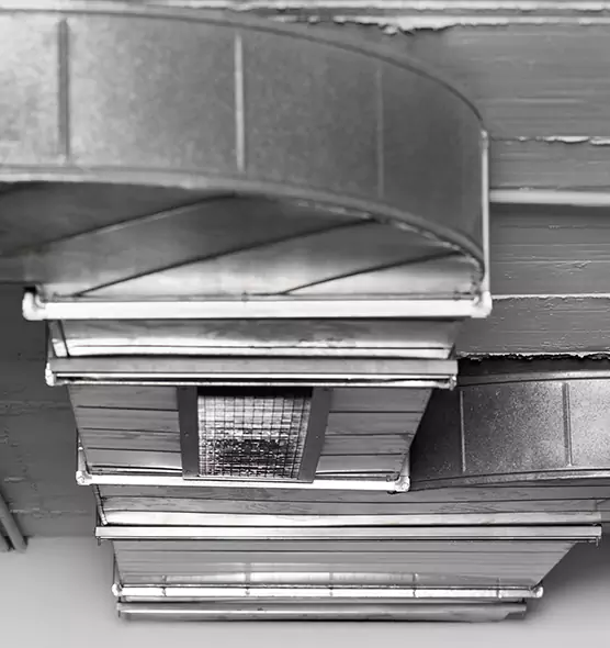 Professional Air Duct Pest Removal in Coral Springs, FL