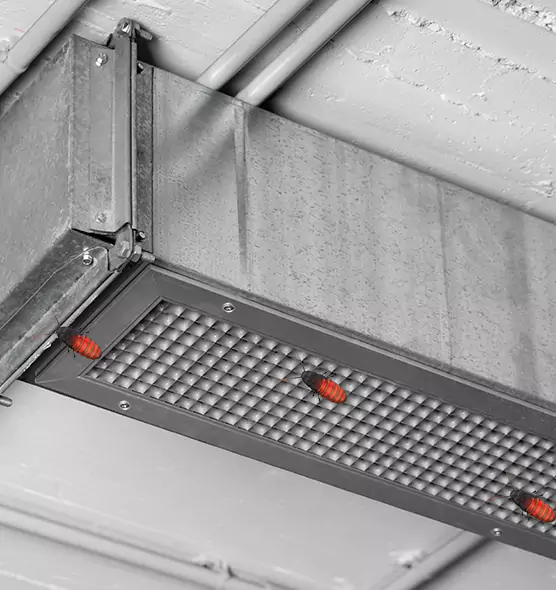 Affordable Insect Removal from Air Ducts in Coral Springs, FL