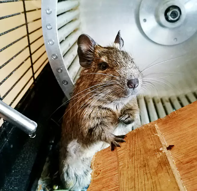 Why Homeowners & Businesses Trust Us Coral Springs, FL?