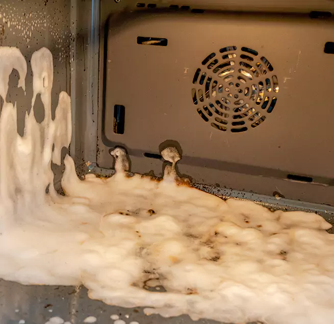 Why Homeowners & Businesses Trust Us in Coral Springs, FL?