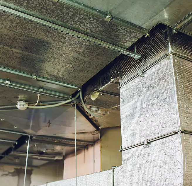 Why Homeowners & Businesses Trust Us in Coral Springs, FL?