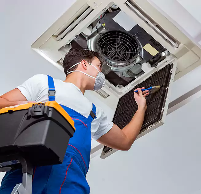 Why Homeowners & Businesses Trust Us in Coral Springs, FL?